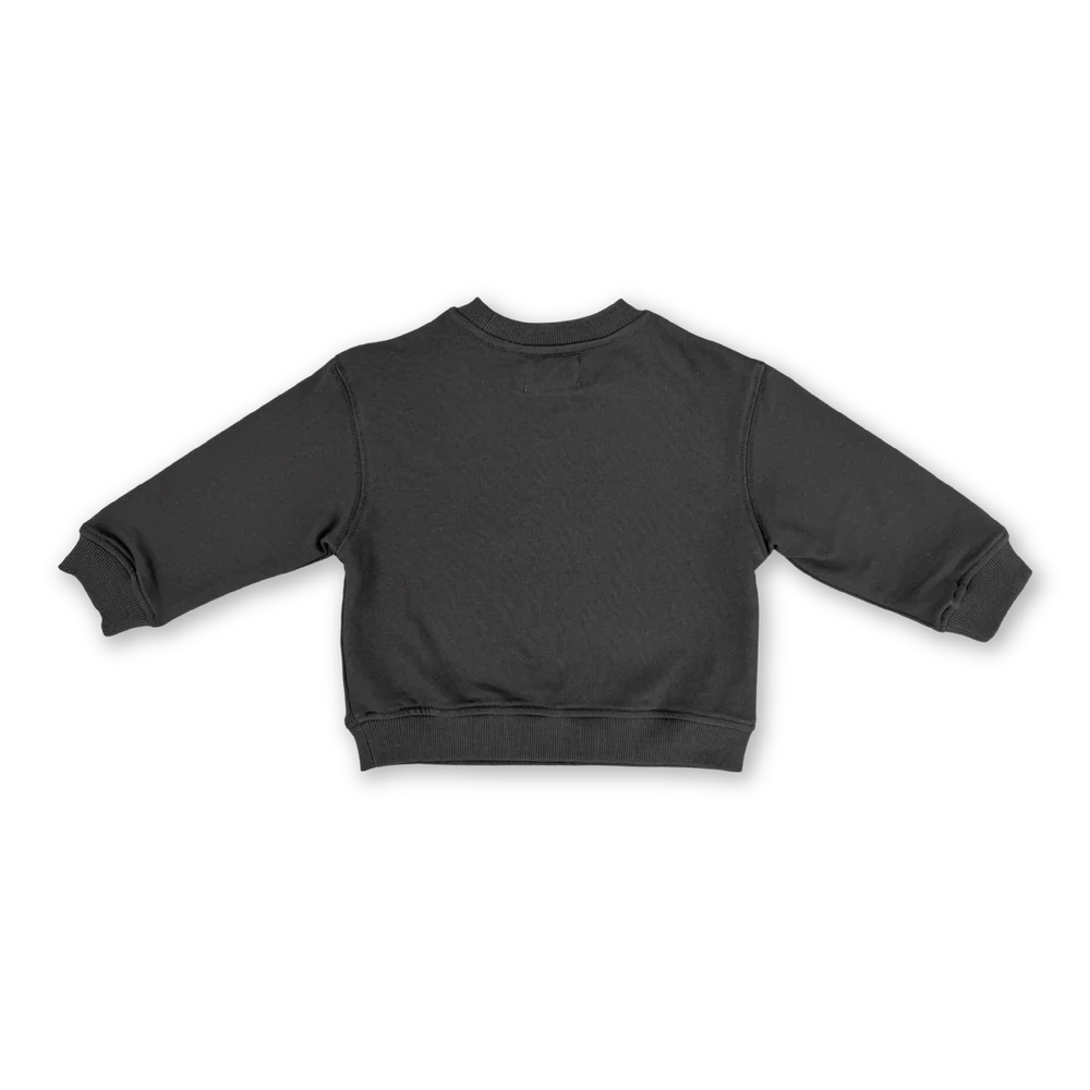 Grown Parrot Fish Jumper - Ash