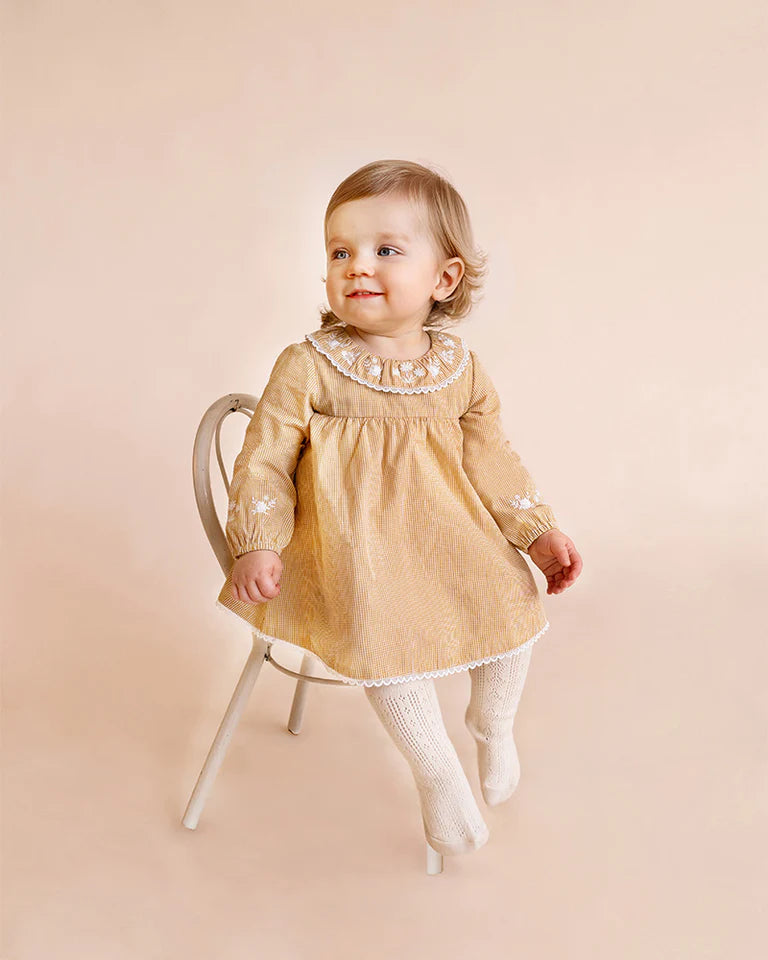 Bebe Winnie Embroidered Gingham Overlay Dress