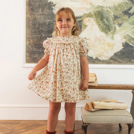 Noralee Lori Dress - Holly Vines