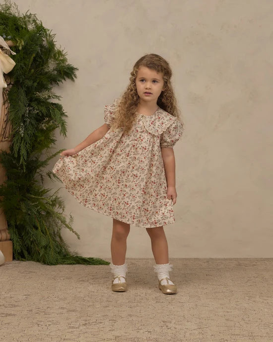 Noralee Lori Dress - Holly Vines