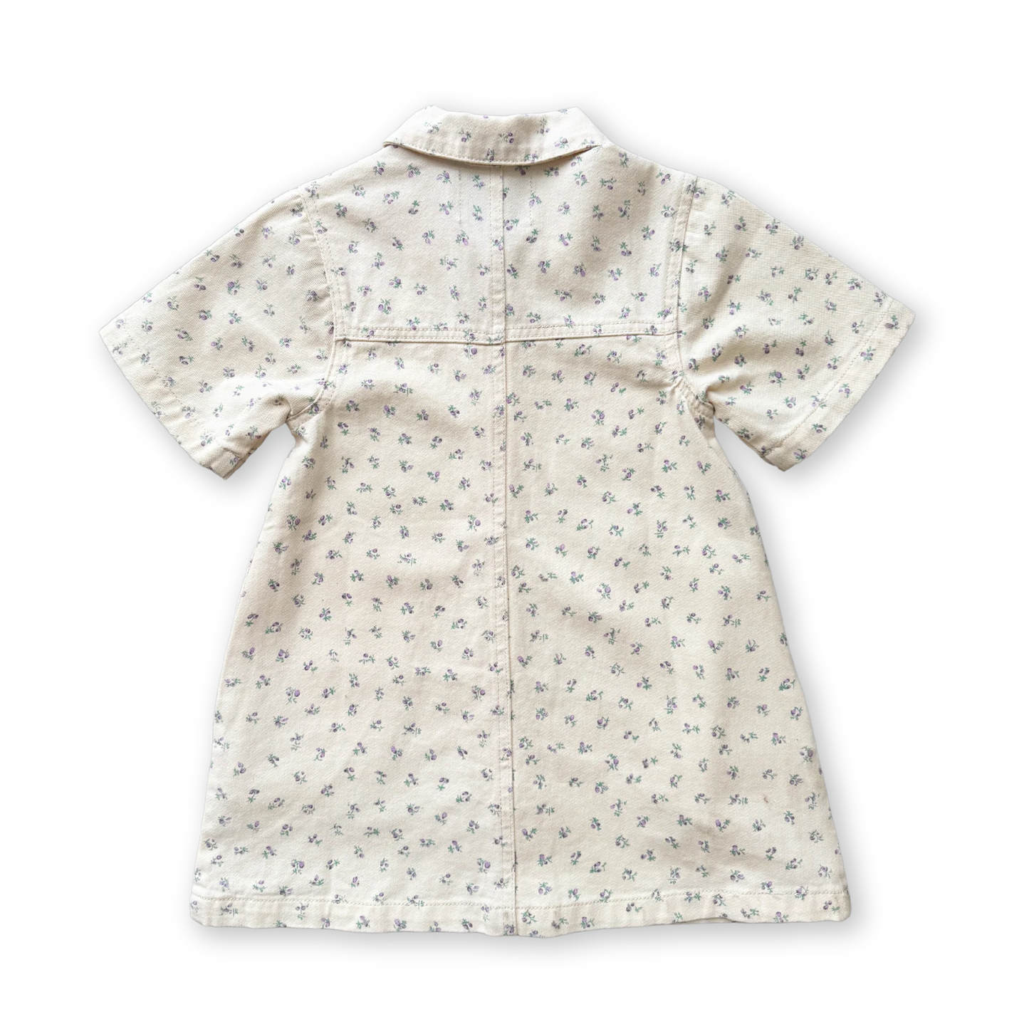 Grown Collar Dress - Garden