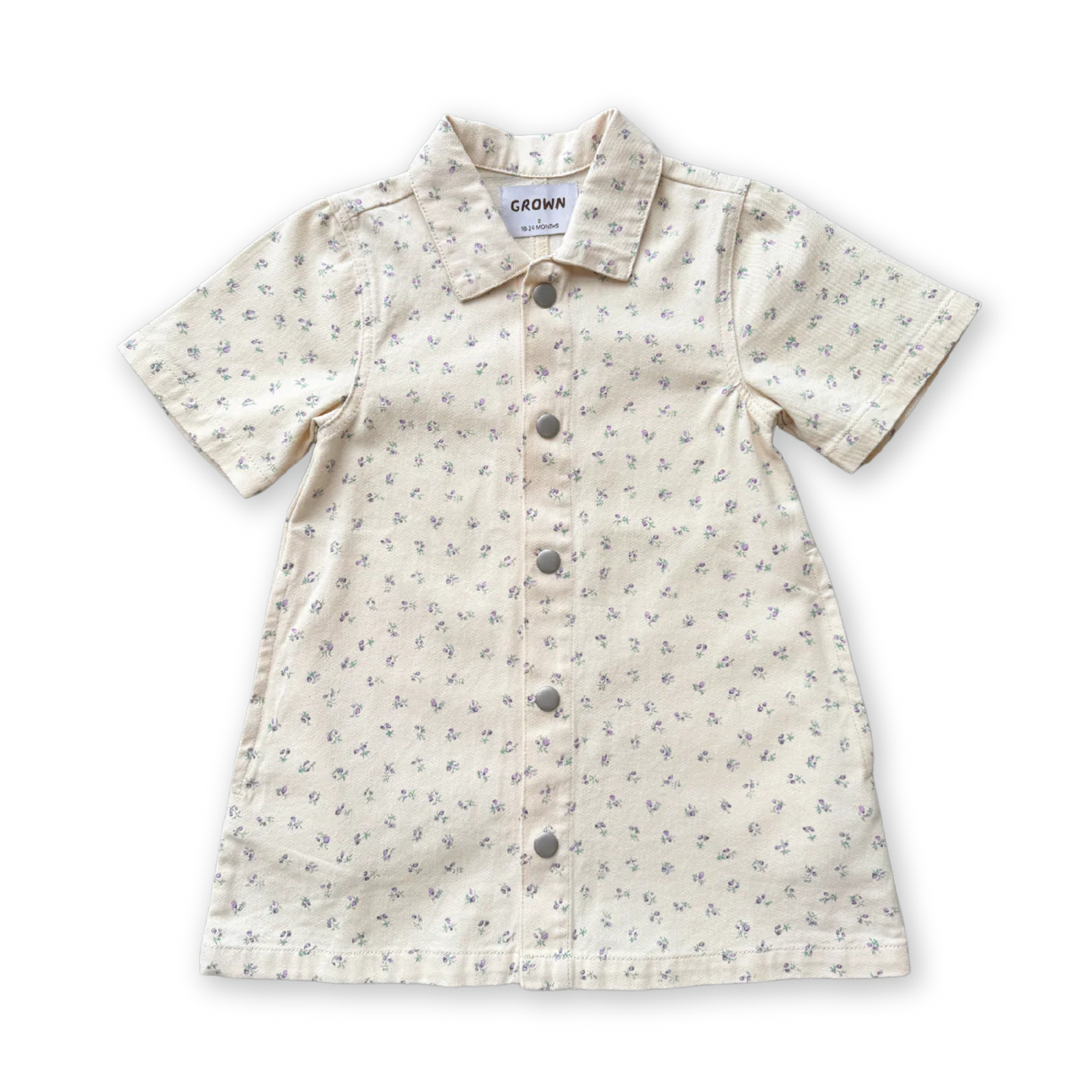 Grown Collar Dress - Garden