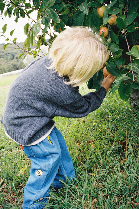 Grown Organic Fruit Salad Denim Pants