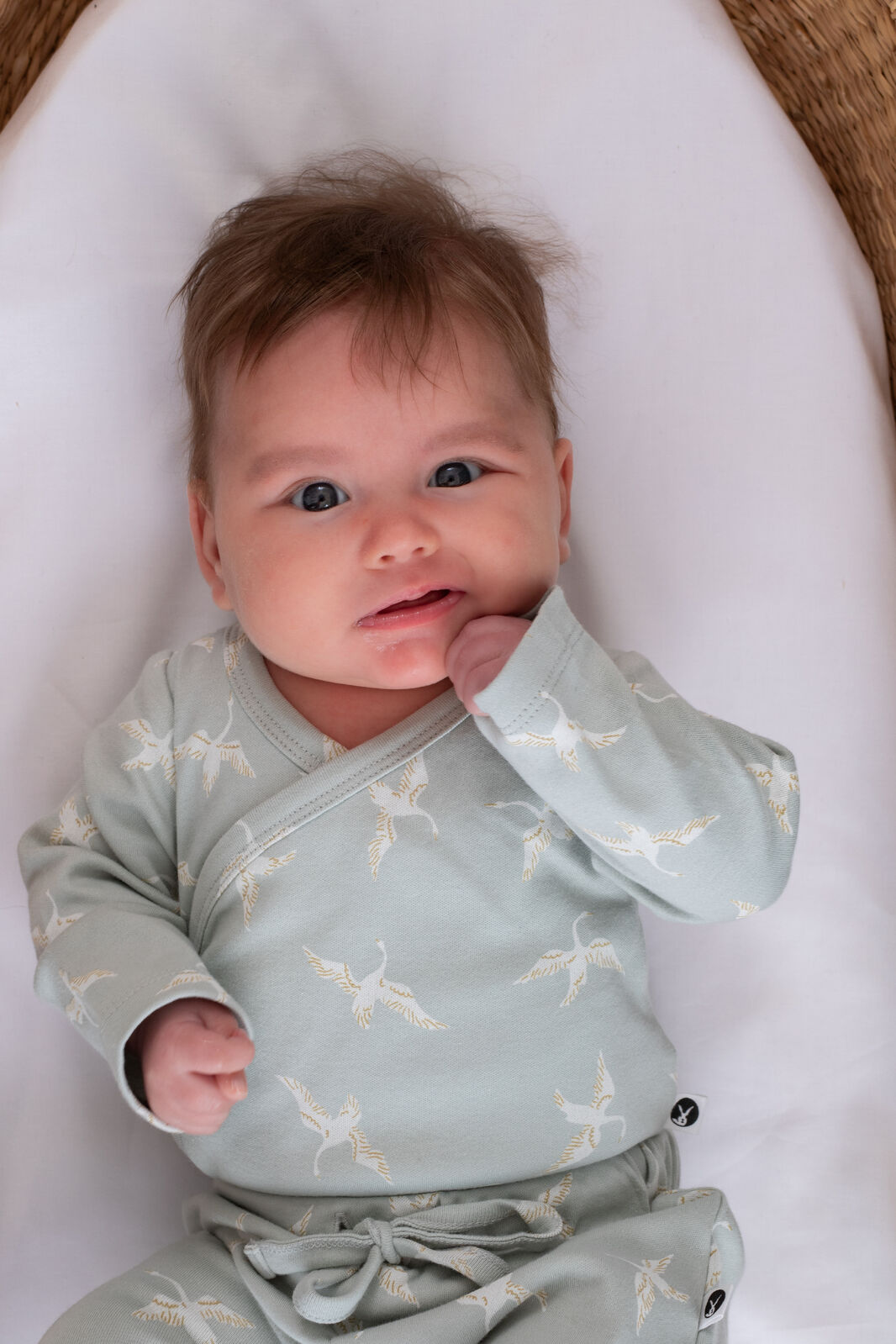 Burrow & Be Swan Flight LS Kimono Bodysuit