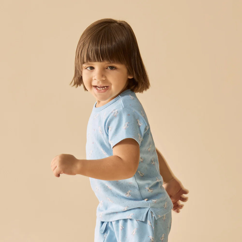 Wilson & Frenchy Organic Pointelle S/S Pyjamas - Sunny Seagulls