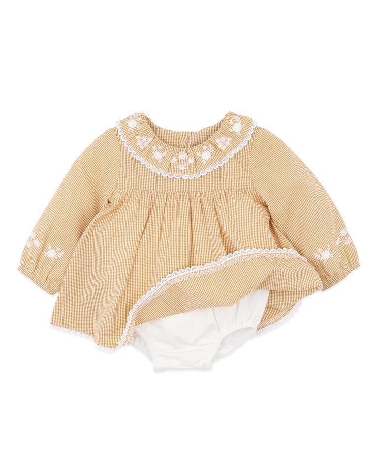 Bebe Winnie Embroidered Gingham Overlay Dress