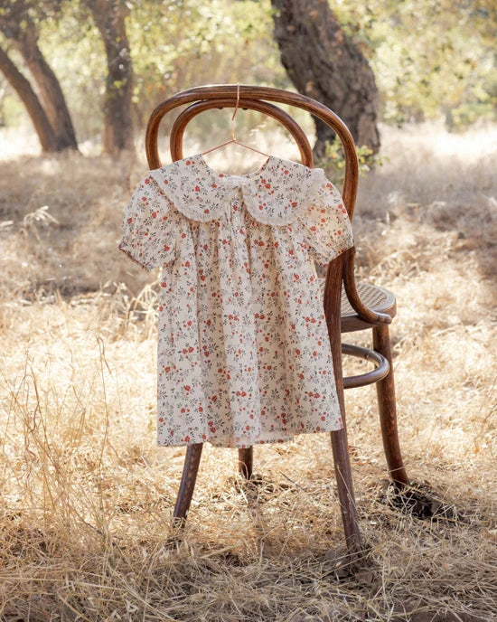 Noralee Lori Dress - Holly Vines