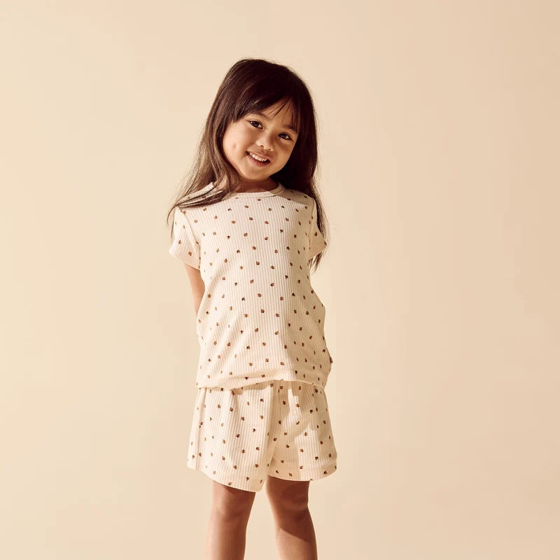 Wilson & Frenchy Little Lady Bugs Organic Short Sleeved Pyjamas