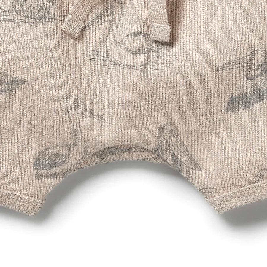 Wilson & Frenchy - Organic Rib Tie Front Shorts - Little Pelican - Size 0-3mth